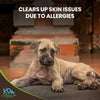 ALL-CLEAR DOG ALLERGY SUPPLEMENT 3 Pack