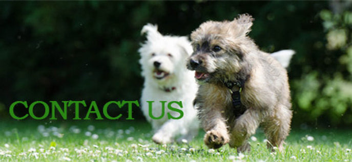 contact K9 Nature Supplements Dog Supplement Company