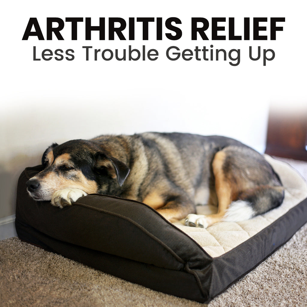 arthritis-pain-relief-for-dogs
