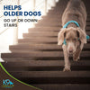 senior-dog-vitamins-for-mobility